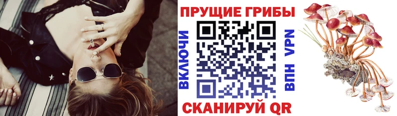Псилоцибиновые грибы мицелий  сколько стоит  мега ONION  Омутнинск 